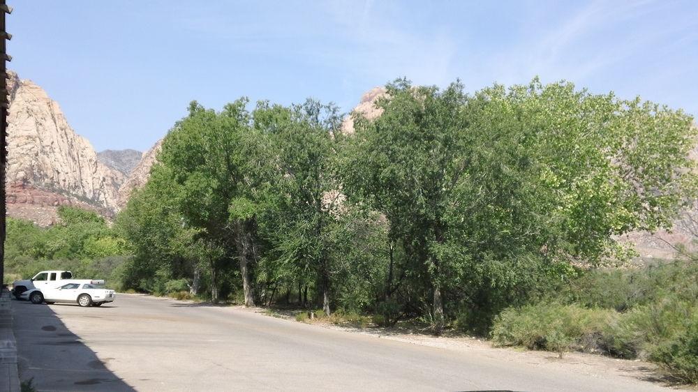 Bonnie Springs Ranch Motel Blue Diamond Esterno foto