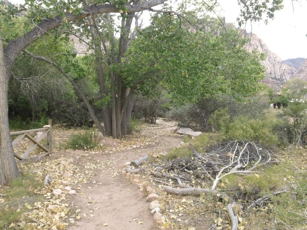 Bonnie Springs Ranch Motel Blue Diamond Esterno foto